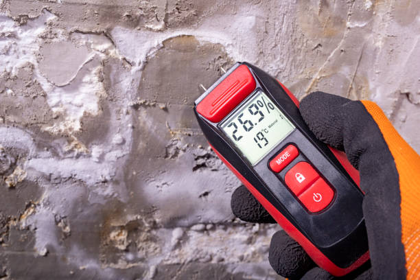 Best Post-Remediation Services in Castlewood, VA