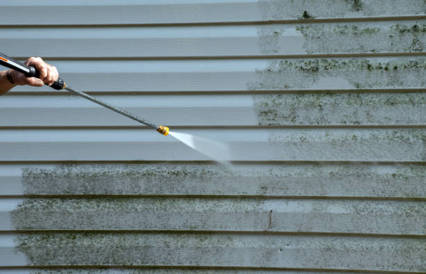 Best Insurance-Related Mold Remediation in Castlewood, VA