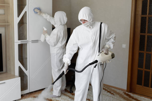 Best Bathroom Mold Remediation in Castlewood, VA